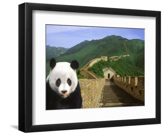 Premium Photographic Print, , large