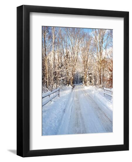 Premium Photographic Print, , large
