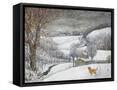 Framed Canvas