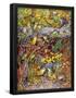 Essential Black