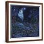 Brown Frame
