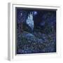 White Frame