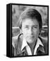 Bill Bixby - The Magician-null-Framed Stretched Canvas