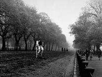 Rider on Horseback in Hyde Park-Bill Brandt-Framed Stretched Canvas