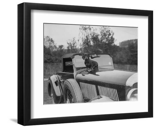 Photographic Print, , large