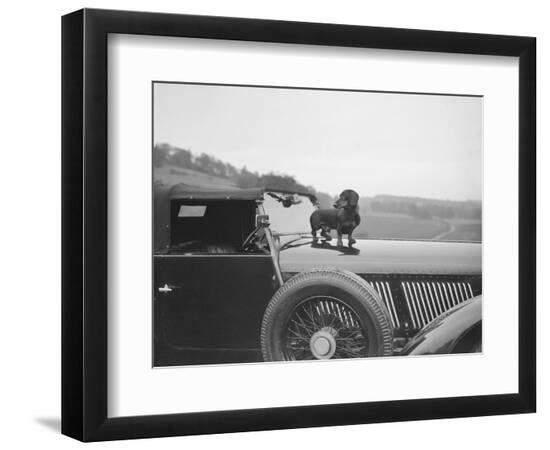 Premium Photographic Print, , large