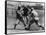 Bill Carrigan & Buck O'Brien Boxing, Boston Red Sox, Baseball Photo - Boston, MA-Lantern Press-Framed Stretched Canvas