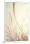 Gramercy White