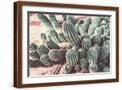 Brown Frame