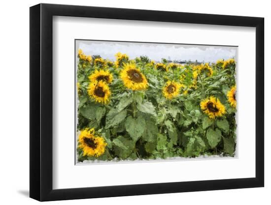 Premium Photographic Print, , large