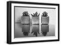 Black Frame