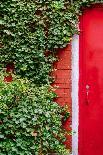 Red Garden Door-Bill Carson Photography-Art Print