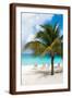 Brown Frame