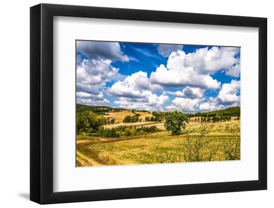 Premium Photographic Print, , large