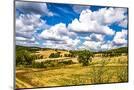 Wood Mount