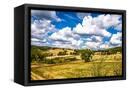 Canvas Black