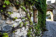 Red Garden Door-Bill Carson Photography-Art Print