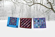 Winter Quilts-Bill Coleman-Giclee Print