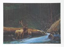 In the Rockies-Bill Elliot-Collectable Print