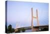 Bill Emerson Memorial Bridge at night over Mississippi River, Cape Girardeau, Missouri-Richard & Susan Day-Stretched Canvas