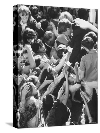 Stretched Canvas Print, , large