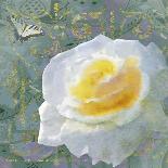 Champagne Rose-Bill Jackson-Giclee Print