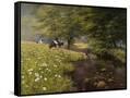 Canvas Black
