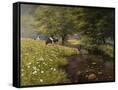 Canvas Black