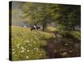 Stretched Canvas