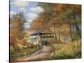 Stretched Canvas