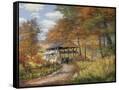 Canvas Black