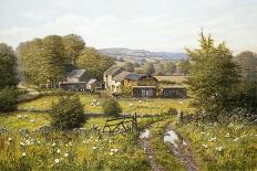 Field Of Poppies-Bill Makinson-Giclee Print