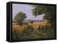 Framed Canvas