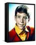 Bill Mumy-null-Framed Stretched Canvas