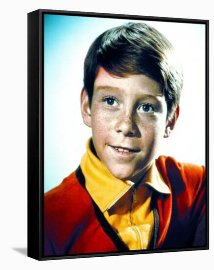 Bill Mumy-null-Framed Stretched Canvas