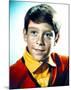 Bill Mumy-null-Mounted Photo