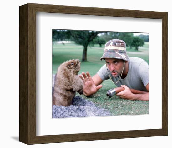 Bill Murray-null-Framed Photo