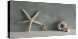 Starfish II-Bill Philip-Stretched Canvas