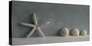 Starfish III-Bill Philip-Stretched Canvas