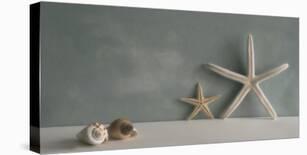 Starfish III-Bill Philip-Stretched Canvas