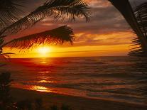 Surfers at Sunset, Ehukai, Oahu, Hawaii-Bill Romerhaus-Photographic Print