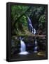 Essential Black