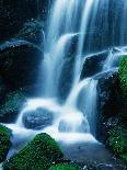 Waterfall in Yosemite National Park-Bill Ross-Photographic Print