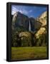 Essential Black