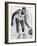 Bill Russell, American Basketball Player Who Played for the Boston Celtics, 1960s-null-Framed Photo