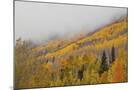 Wood Mount