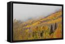 Canvas Black