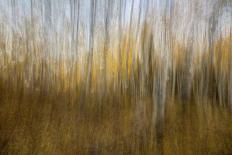 Dreamy Autumn Reflection-Bill Sherrell-Photographic Print