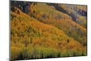 Wood Mount