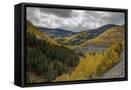 Canvas Black